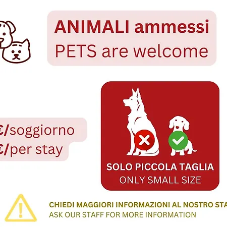 Apartment Caseospitali - Daimo, Delizioso Bilocale Fiera Perfetto Per 5 *